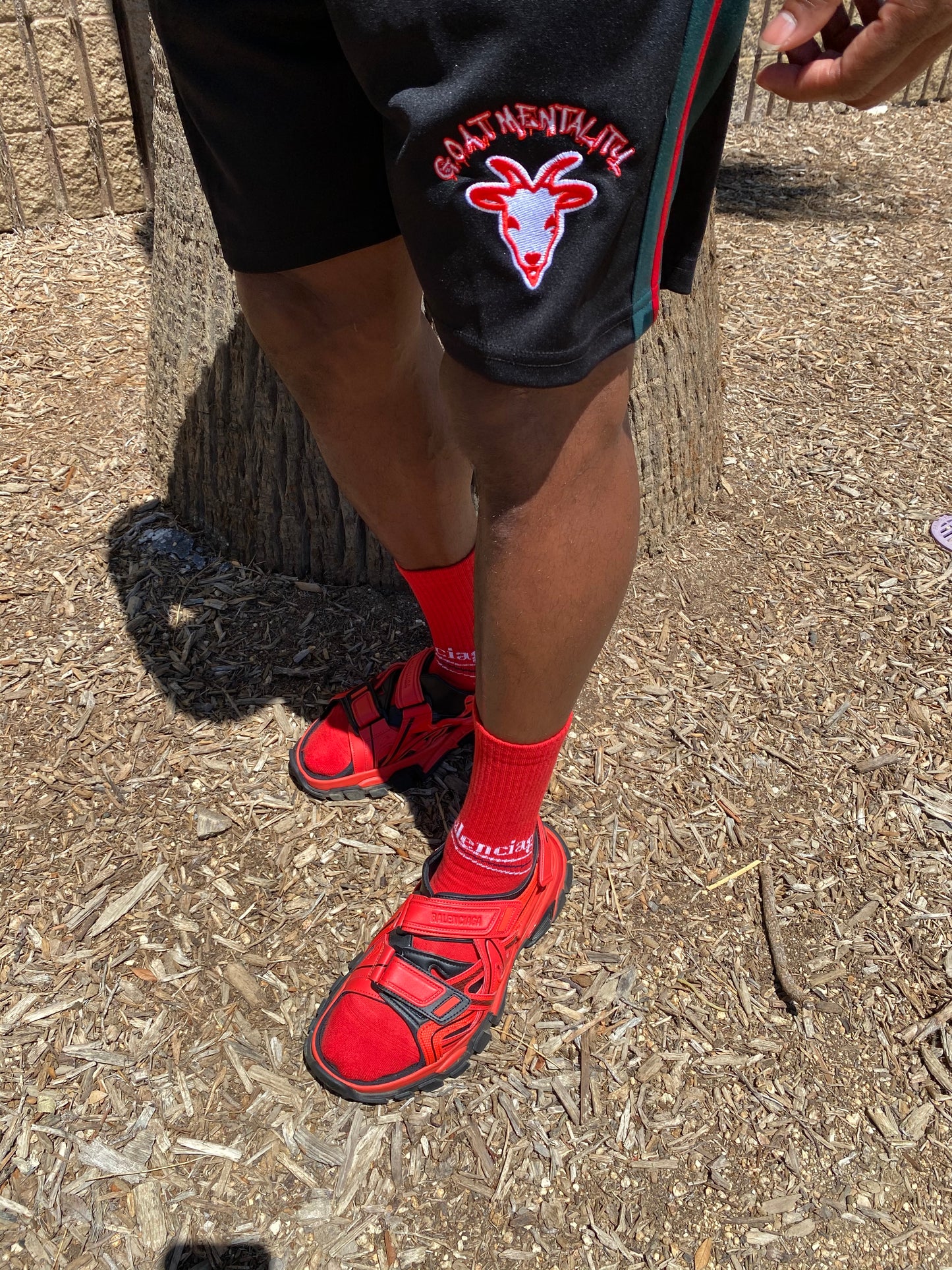 Goat Mentality Track Shorts